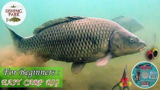 For Beginners ; Easy Carp Rig / Yeni başlayanlar için sazan rig takımı