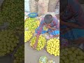 andhra pradesh lemon market youtubeshorts viralvideo shortvideo sorts lemon