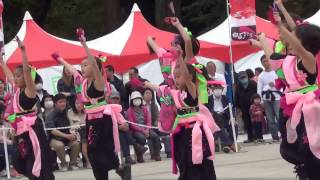 東京舞祭'17春 麗🌸夏桜組