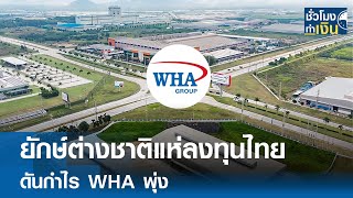 ยักษ์ต่างชาติแห่ลงทุนไทย ดันกำไร WHA พุ่ง | TNN ชั่วโมงทำเงิน | 24-02-68