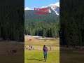 Ye to Kashmir hai 😍 Mini Switzerland, pahalgam 🥰 Kashmir #shorts #viral #trending #Suman_shukla