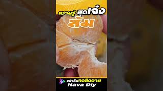 ประโยชน์ที่ไม่ธรรมดาของส้ม ที่หลายคนยังไม่รู้  | Nava DIY