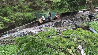 【ワサビ栽培発祥の地】有東木のわさび田ではこうして移動します