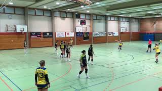 F-LL-4: SG Argental I - SG Burlafingen / PSV Ulm 35:22 (11:12)