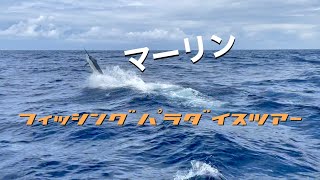 [Vlog奄美釣船鰹魚鳥]フィッシングパラダイスツアー