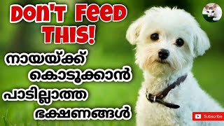 Foods that are toxic to dogs | നായയ്ക്ക് കൊടുക്കാൻ പാടില്ലാത്ത ഭക്ഷണങ്ങൾ | Friendly Pets Malayalam