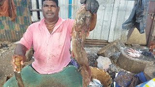 THELI FISH CUTTING SKILLS//MR. MINNAL RAJA FISH CUTTING #fishcuttingskills #msmfoods #seafoods