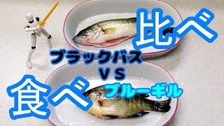 【オトナも遊ぼう】ブラックバスとブルーギル喰おーZE【Catch and Eat】