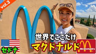 【なんか変】世界で1つだけの特別なマクドナルド🇺🇸🍔