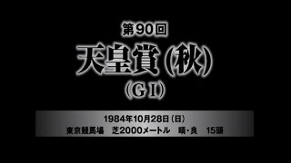 １９８４年第９０回　天皇賞（秋）　ミスターシービー