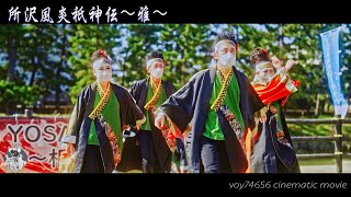 【シネスコ】所沢風炎祇神伝〜雅〜／YOSAKOIそうか2022 ～相思草愛～