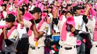 2013　夏の甲子園　延岡学園　あまちゃん