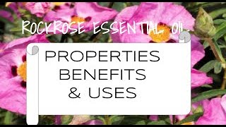 Rockrose Essential Oil - Benefits \u0026 Uses