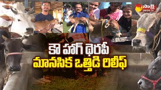 Cow Hug Therapy Event at Nadipathy Goshala | Kakinada | Sakshi TV