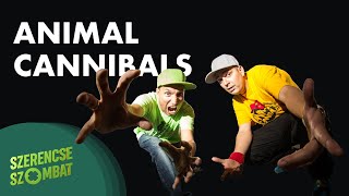 SzerencseSzombat - Animal Cannibals feat Kozma Orsi, Harsányi Levente - Mindenki azt akarja