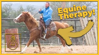 Horses Helping Heroes: Equine Therapy For Veterans (Solutionaries)
