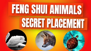 Feng Shui 5 Animals And Directions- Feng Shui Tips-Five Elements