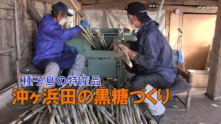 種子島の特産品沖ヶ浜田の黒糖づくり令和3年産～種子島のふるさと情報