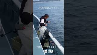 ヤリイカ乗り乗り中！　#一俊丸　#キハダマグロ　#fishing #offshorefishing　#茅ヶ崎　#湘南　#釣り　#ライトアマダイ　　#ヤリイカ　#イナダ　#ワラサ　#カワハギ