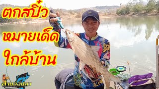 EP.55🦈ตกสปิ๋วบ.โคกสนามหมายเด็ดใกล้บ้าน