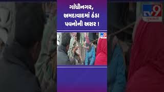 ગાંધીનગર, અમદાવાદમાં ઠંડા પવનોની અસર ! | Gandhinagar | Gujarat Temperature | Cold | Winter | TV9