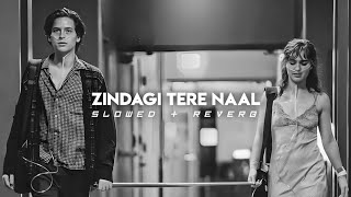 Zindagi Tere Naal (Pav Dharia) (Khan Saab) (slowed+reverb)