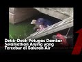 Dramatis, Proses Petugas Damkar Selamatkan Anjing yang Tecebur di Saluran Air | Kabar Petang tvOne