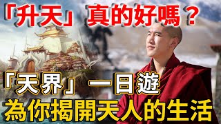 「升天」真的好嗎？「天界」一日遊！帶你領略不一樣的天人生活！ |禪語