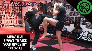 Muay Thai 5 Ways to Fake your Opponent Tutorial