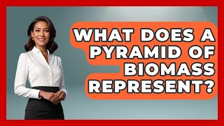 What Does A Pyramid Of Biomass Represent? - Biology For Everyone