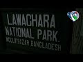 রাতের আধাঁরে লাউয়াছড়ার পথে lawachara adventure trip at night রাতের লাউয়াছড়া জঙ্গল ভ্রমন