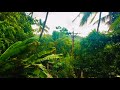 naturebeauty nature beauty പ്രകൃതിയുടെ സൗന്ദര്യം