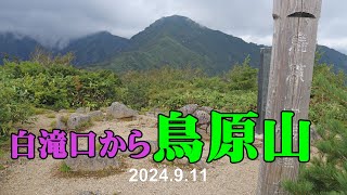 20240911白滝口から鳥原山へ