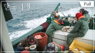 [Full] 한국기행 - 겨울 제주 제1부 방어가 몰려온다 20150126