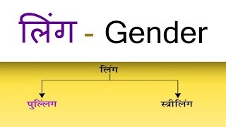 लिंग की परिभाषा || भेद और उदाहरण || Gender (Ling) Hindi Vyakaran