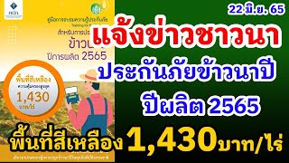 แจ้งข่าวชาวนา ประกันภัยข้าวนาปี ปีผลิต 2565 พื้นที่สีเหลือง คุ้มครองสูงสุด 1,430 บาท/ไร่