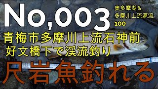 また30cm岩魚釣る青梅市多摩川石神前で