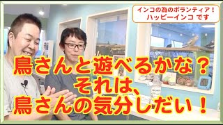 鳥さんはどう思っている？本当に遊びたいのかな？　ハッピーインコ＆はがひでき