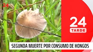 Padre e hijo mueren por consumir hongos silvestres en Lumaco | 24 Horas TVN Chile