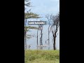 What to See in Kenya - Lake Nakuru