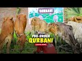 Qurbani Share