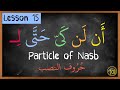 particles of Nasb before verbs EXPLAINED | Lesson 15 | Arabic101