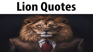 Lion Quotes 3