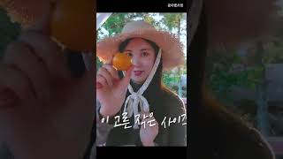 서현이의 귤 고르는 기준🍊