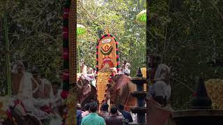 akkikkavu pooram 2024 thechikkottukavu_ramarajavu