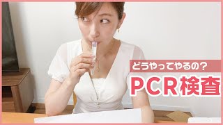 【PCR検査】検査キットが届いたので実際やってみました