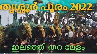 തൃശ്ശൂർ പൂരം ഇലഞ്ഞി തറ മേളം /Thrissur Pooram Ilanjithara Melam