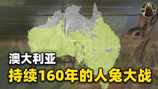 人兔大战持续100多年，澳洲人民都用了哪些手段对付兔子？【万物灵】