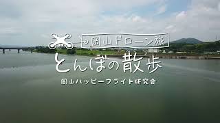 岡山ドローン旅 とんぼの散歩 吉井川の最下流鴨越堰