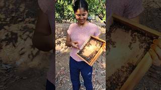 💪🤩திறமை ஒன்னு இருந்தா போதும் நம்ப எதிர்காலத்தை நம்ப மாத்தலாம் | future nature | sudha honey bee farm